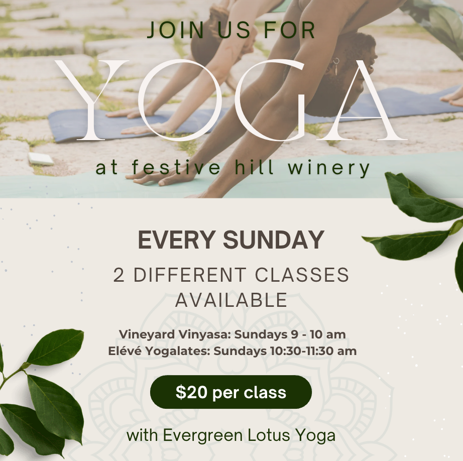 Yoga at the Winery