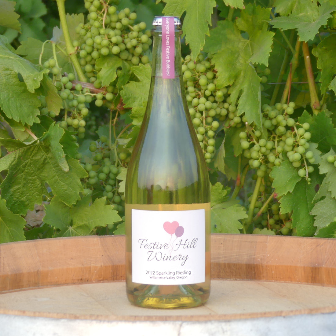 Sparkling Riesling 2023 Sparkling Riesling – Festive Hill Winery