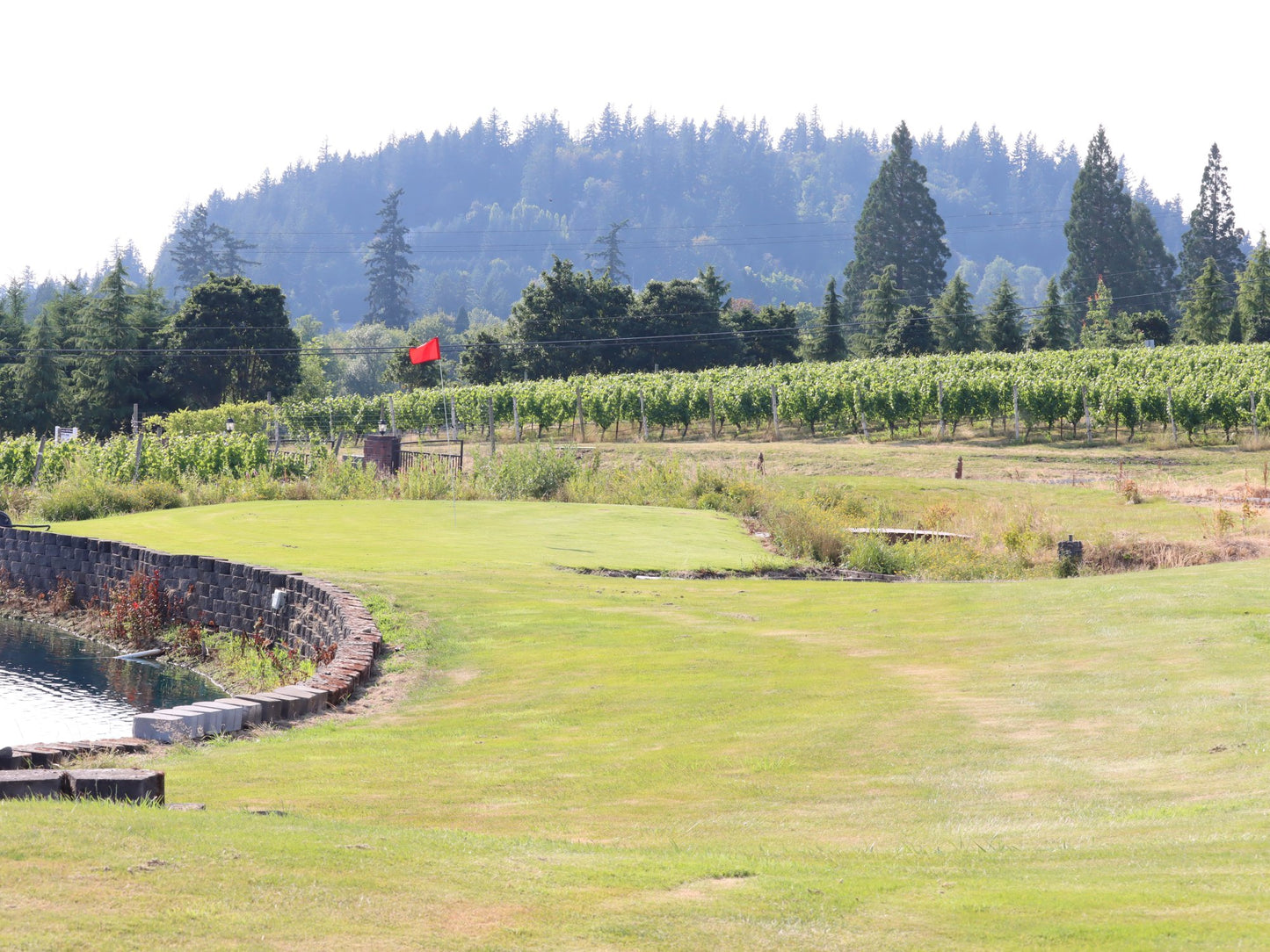 Golf Round