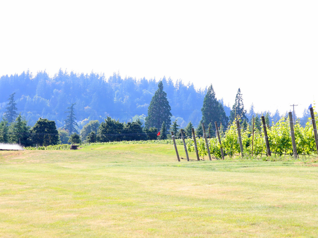 Club Member Golf Round - 6 holes