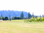 Club Member Golf Round - 6 holes