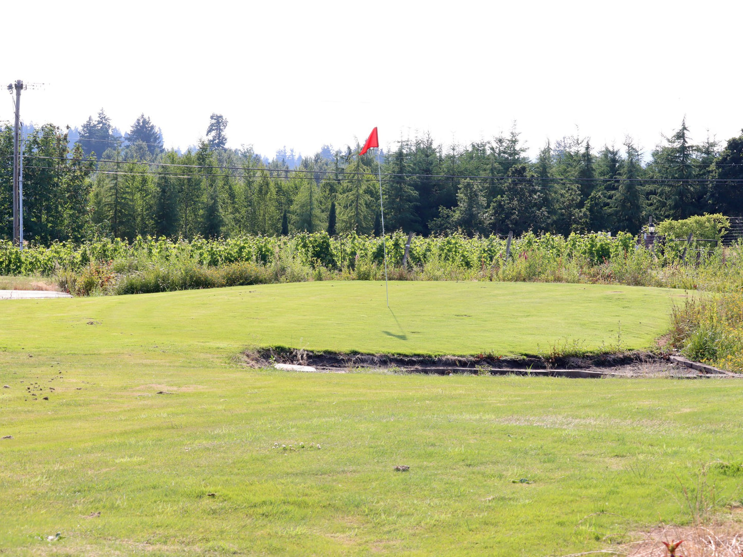 Golf Round