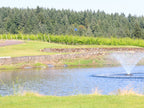 Club Member Golf Round - 6 holes