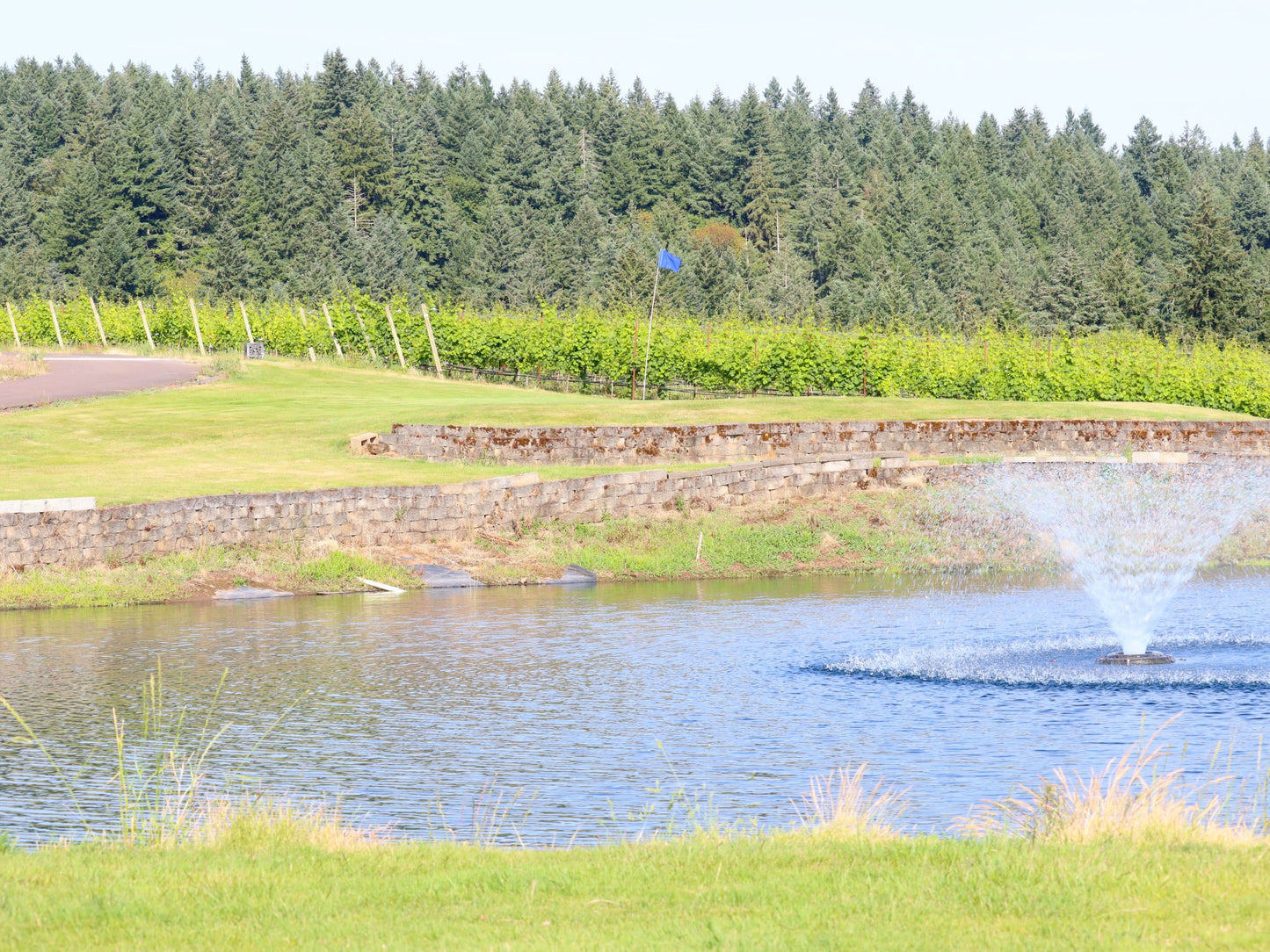 Golf Round
