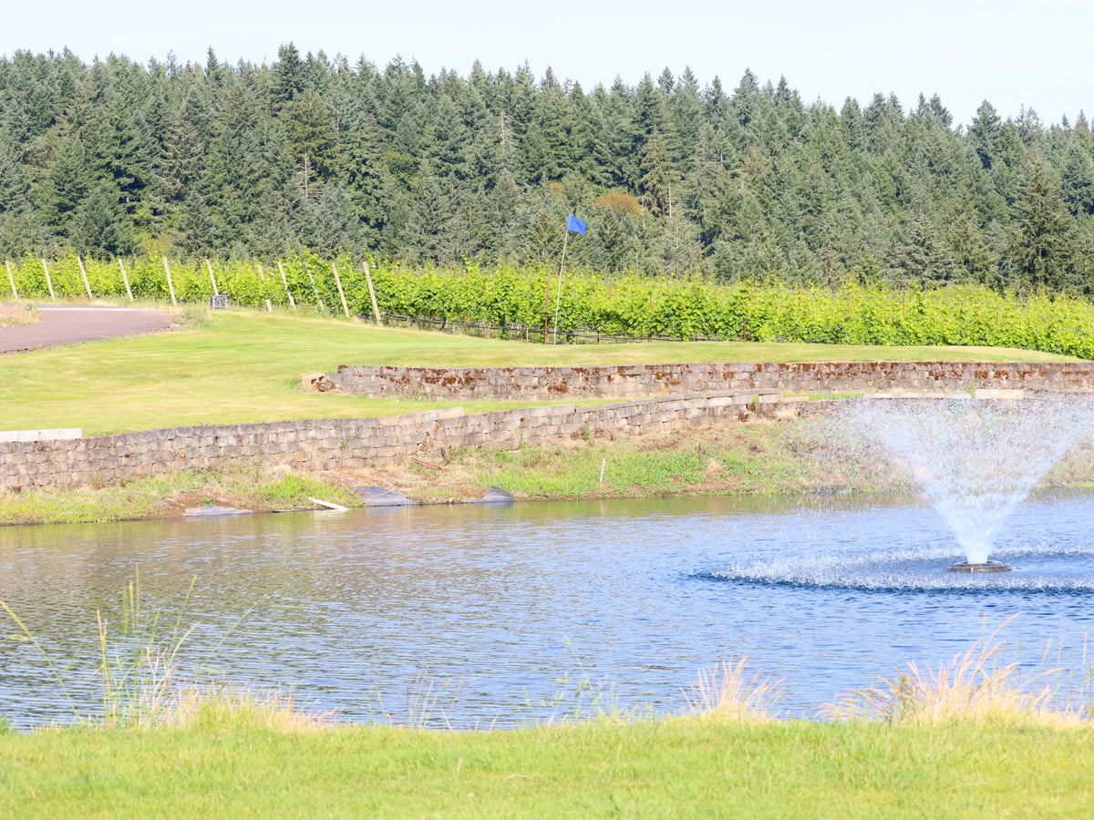 Club Member Golf Round - 6 holes