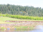 Club Member Golf Round - 6 holes