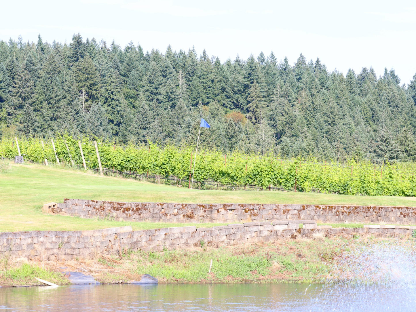 Golf Round