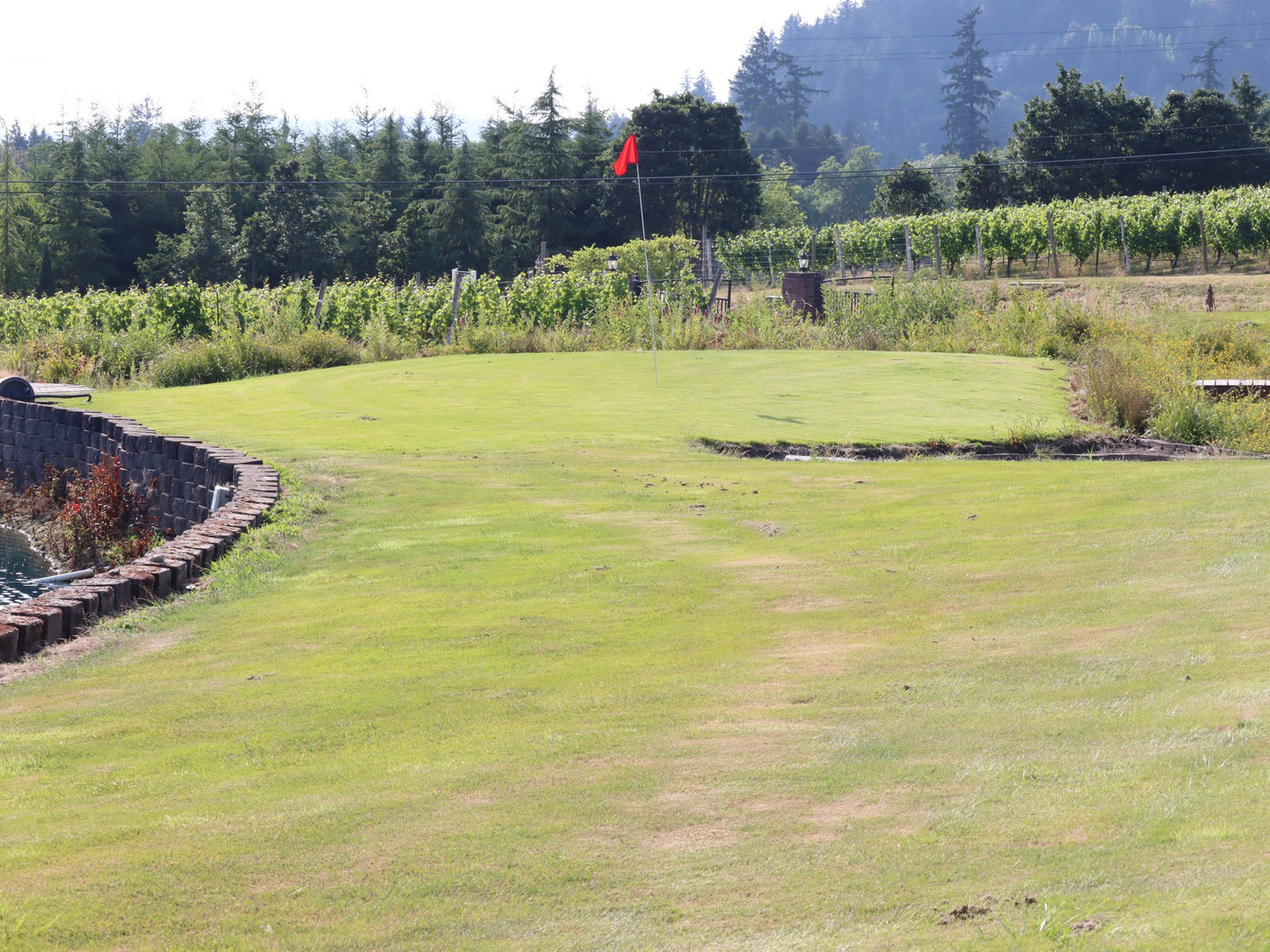 Golf Round