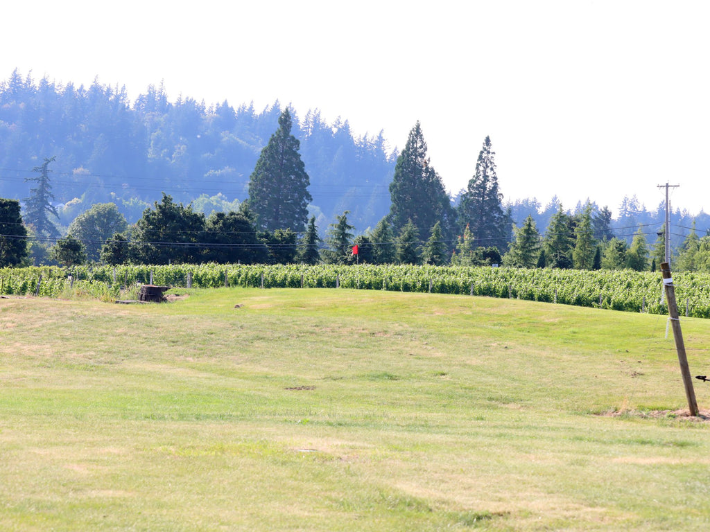 Club Member Golf Round - 6 holes