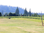 Club Member Golf Round - 6 holes