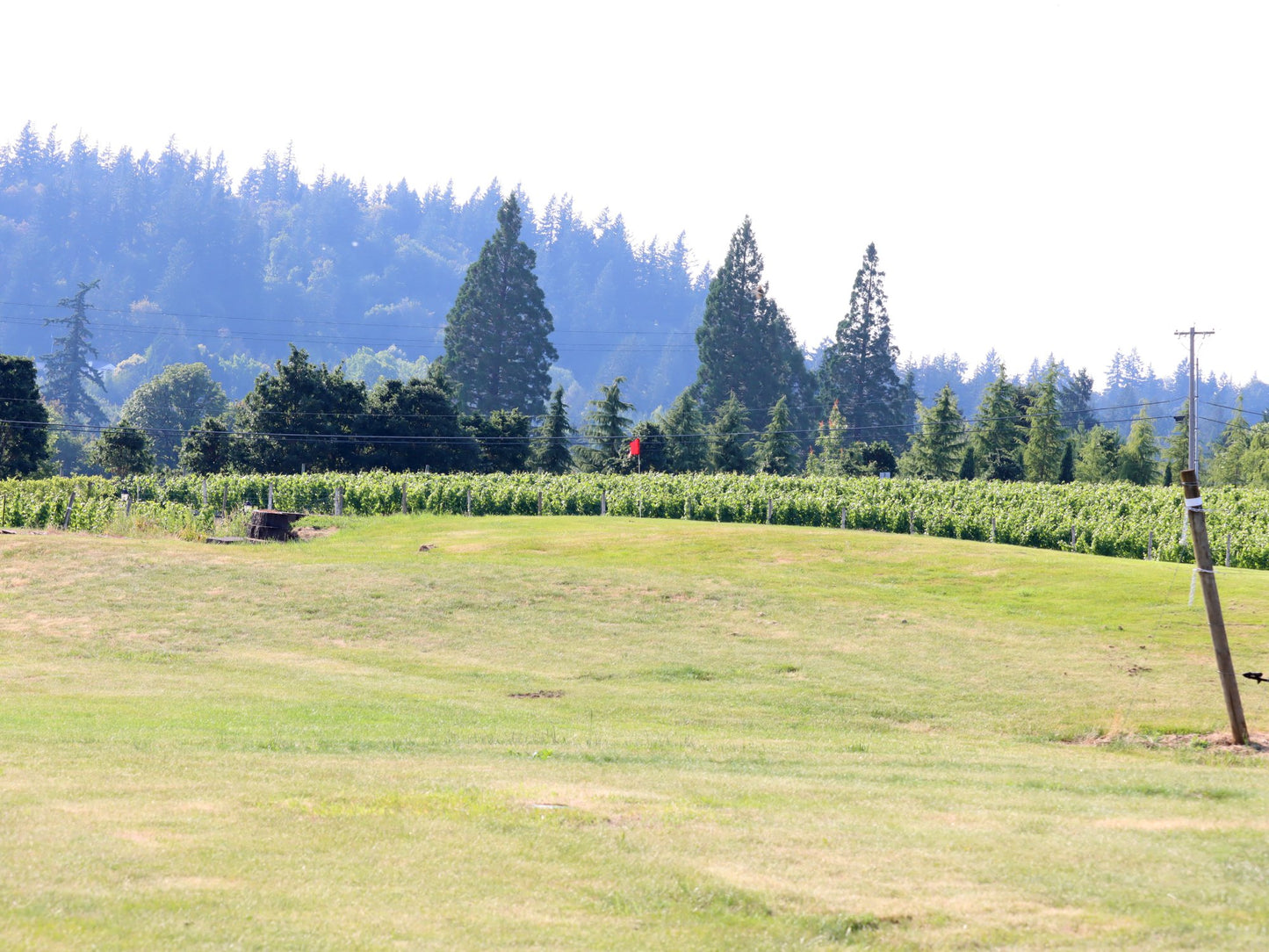 Golf Round