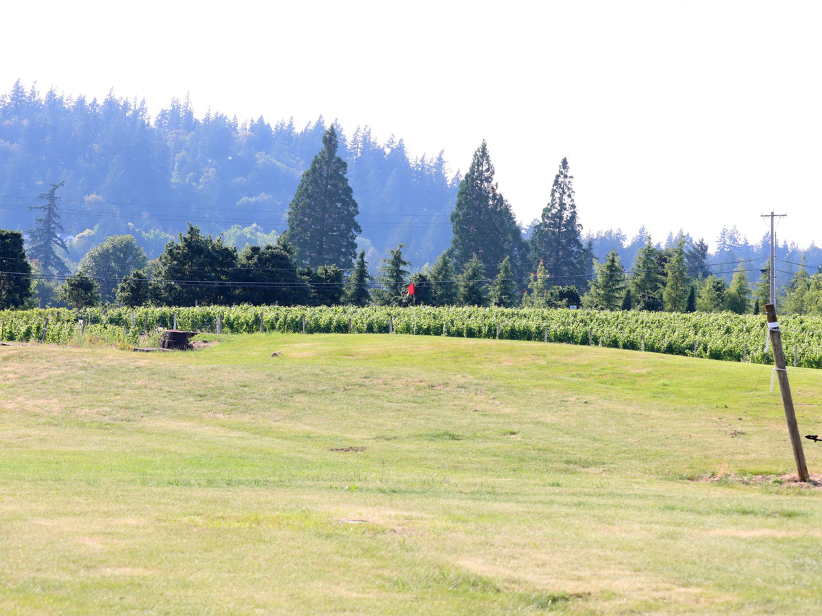 Club Member Golf Round - 6 holes