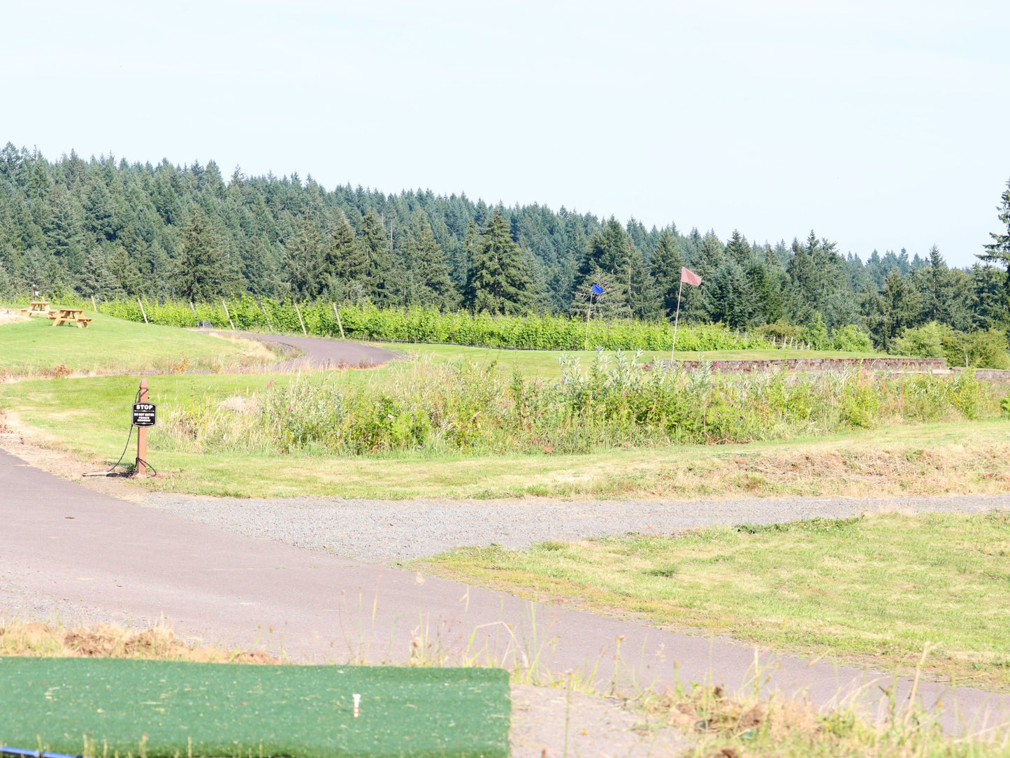 Golf Round