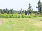 Club Member Golf Round - 6 holes