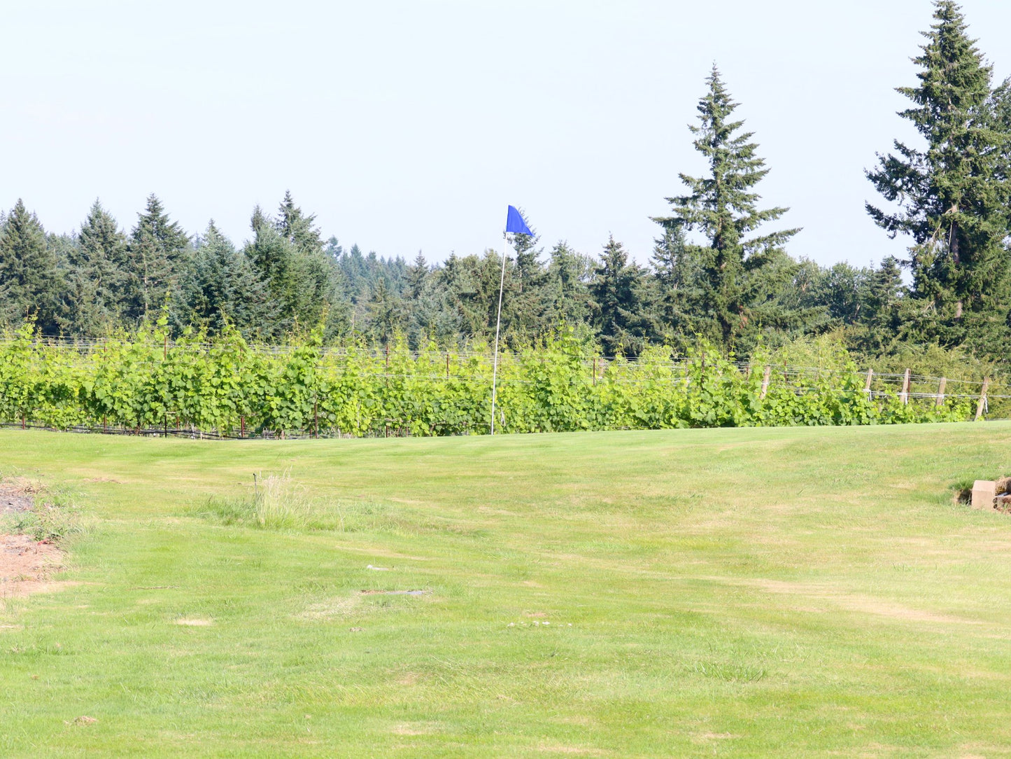 Golf Round