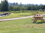 Club Member Golf Round - 6 holes