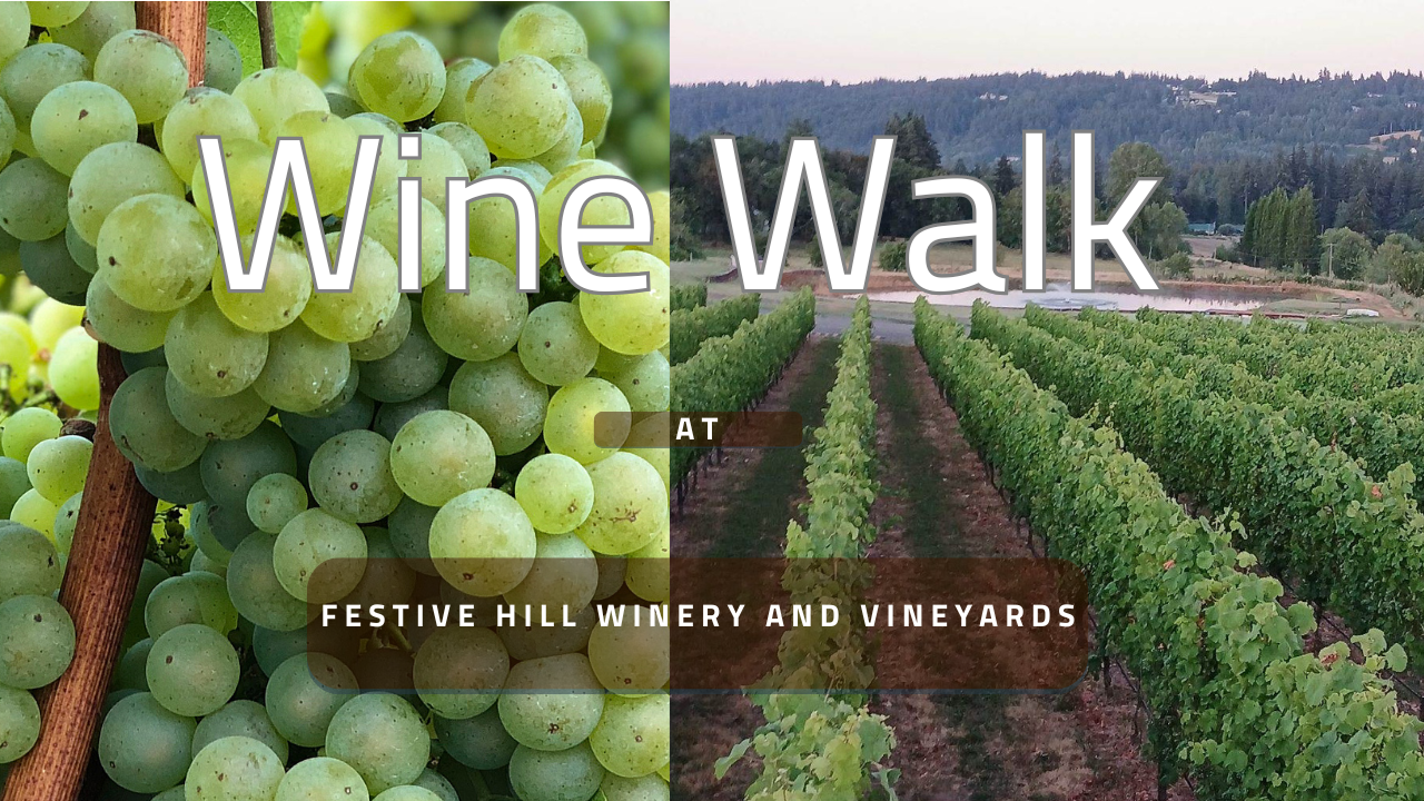 Load video: Festive Hill Wine Walk